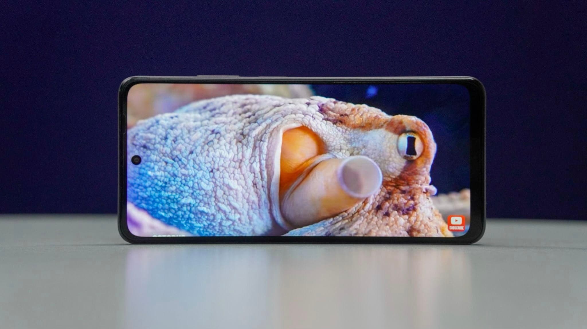 display display